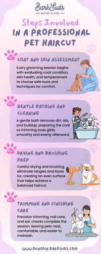 Pet Haircut Service Dunedin.jpg