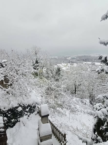 619193524 25547600024890463 7826108900557929846 n.jpg