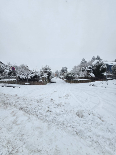 621810840 25547600438223755 4195350356011261999 n.jpg