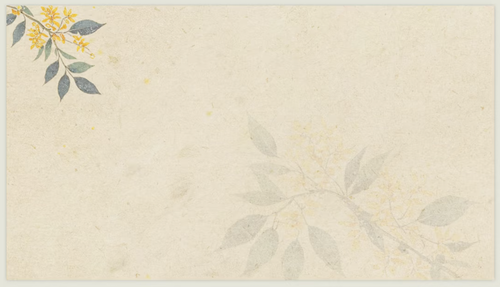 IMG 20260219 044203.png