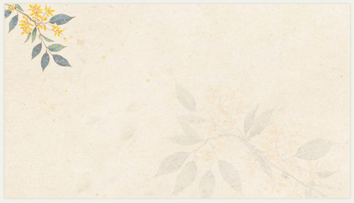 retouch 2026021905005524.jpg