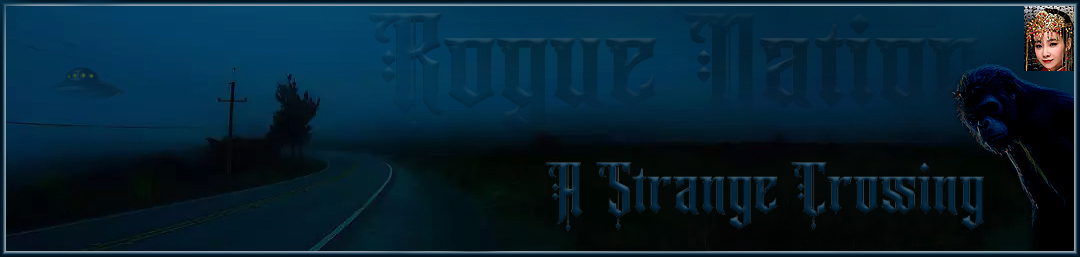 Rogue-Nation Discussion Board