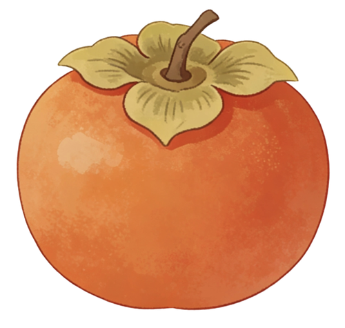 IMG 20260219 055013.png