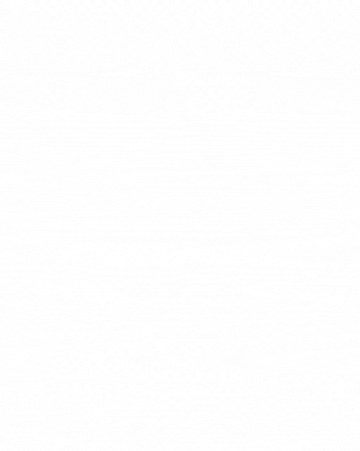 Accounting Software for Excel.gif