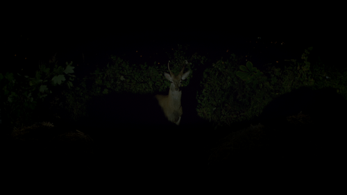 frame2.png