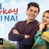 t359 tum larkay bhi na