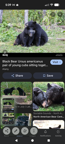 Screenshot 20260218 173914.png