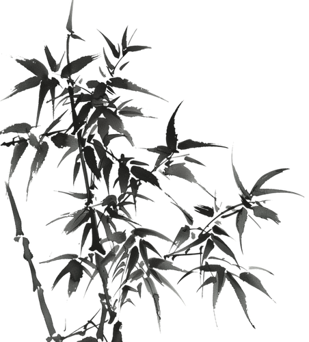 IMG 20260219 075005.png