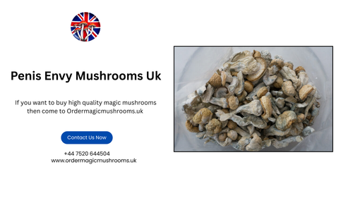 _Buy Penis Envy Mushrooms Uk  Ordermagicmushrooms.png