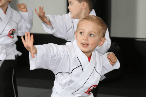 Best Martial arts lessons near me for All Ages.gif