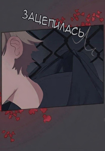 IMG 20260219 150946 868.jpg