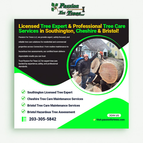 Cheshire Tree Care Maintenance Services.jpg
