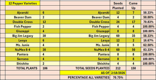 PEPPER PLANT TALLY.jpg