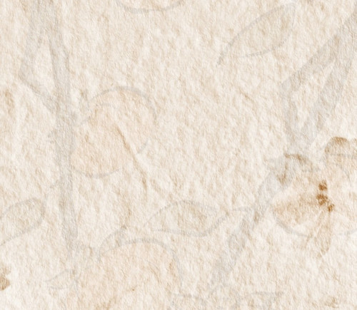 IMG 20260218 175443.jpg