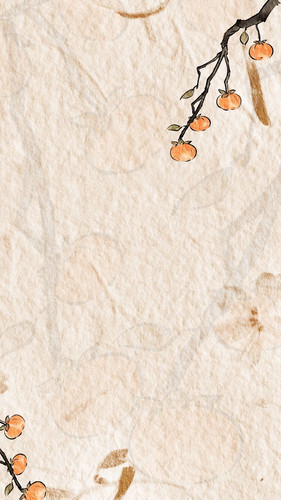 Image 1771408687477 239.jpg