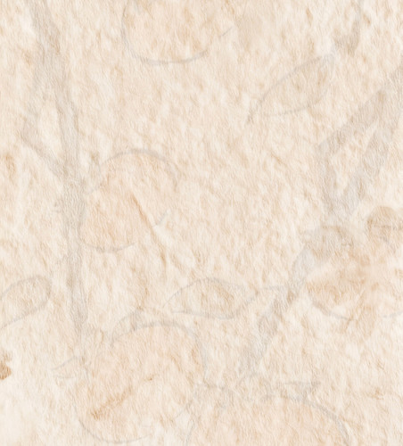 retouch 2026021818025636.jpg