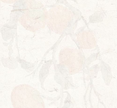 IMG 20260218 175656.jpg