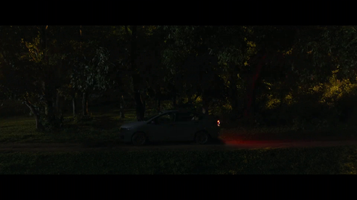 vlcsnap 2026 02 19 10h25m17s344.png