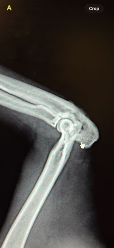 cc15739ca875d65fe70ceb69c954fb43