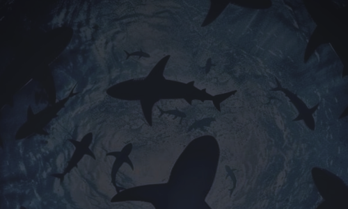 Untitled1795 20260217162939.png