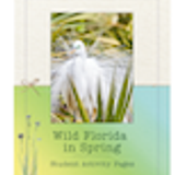 FEC Spring 2026 Student Activity Pages