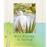 FEC Spring 2026 Full Curriculum