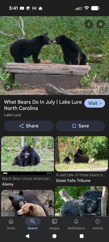 Screenshot 20260218 174132.png