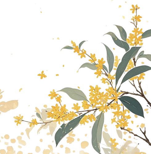 IMG 20260219 083635.png