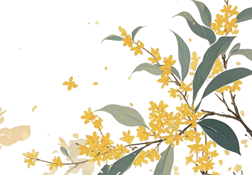 IMG 20260219 084412.png