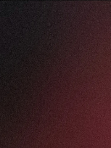 1771463478782.jpg