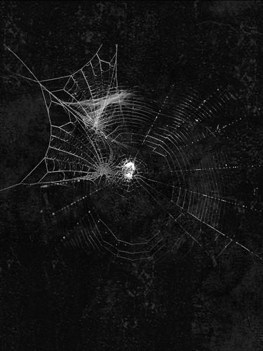 Screenshot 20260219 081840.jpg