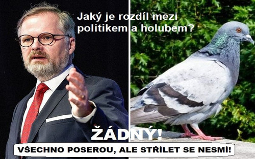 ATV128d9 Michl Fiala.jpg