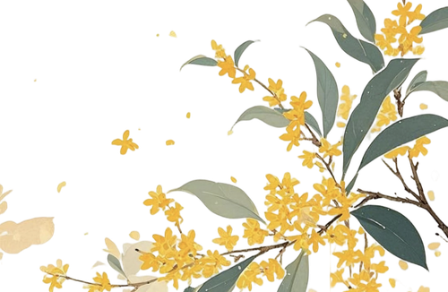 IMG 20260220 004828.png