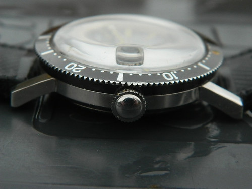DSCN8146.jpg