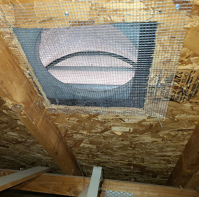 Rodent Proofing Services.jpg