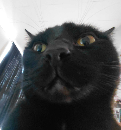 Untitled1800 20260217181538.png