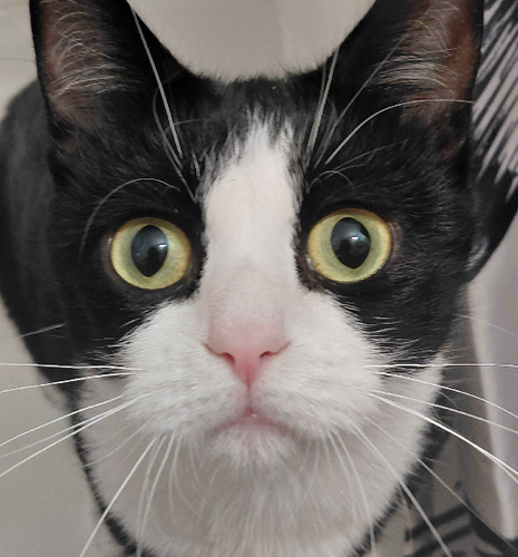 Untitled1800 20260217181542.png