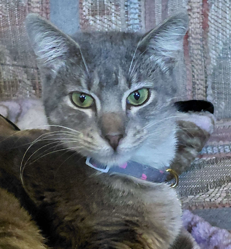 Untitled1800 20260217181545.png