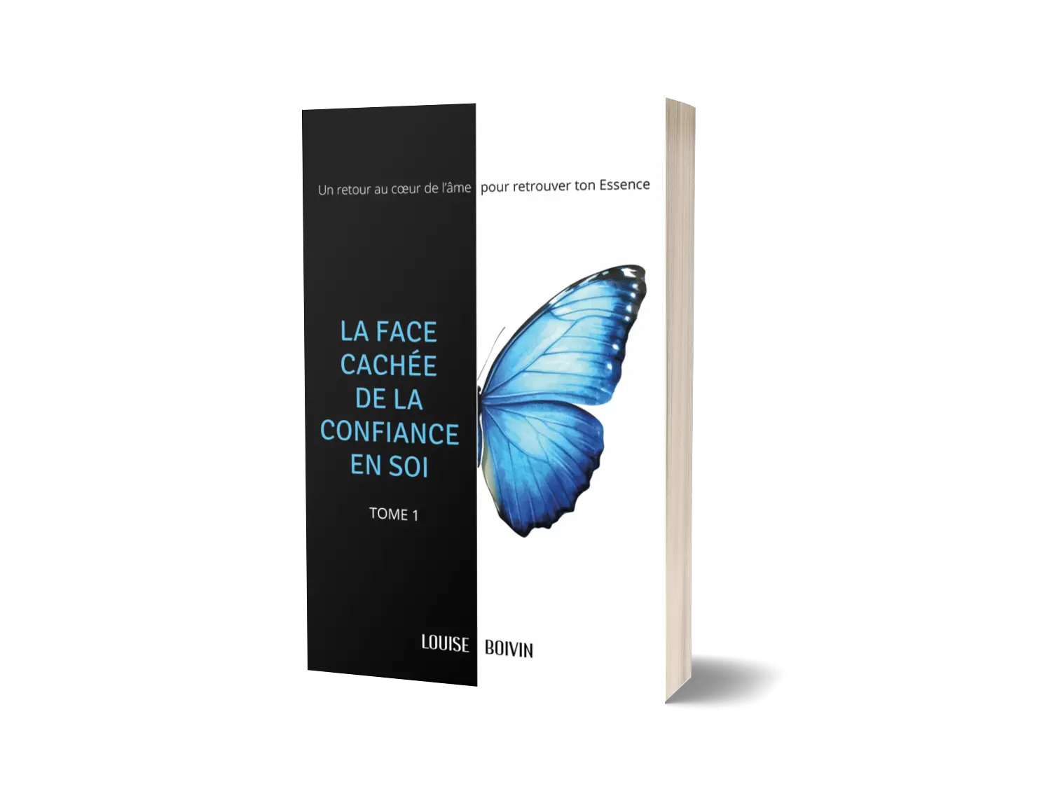 Couverture du livre