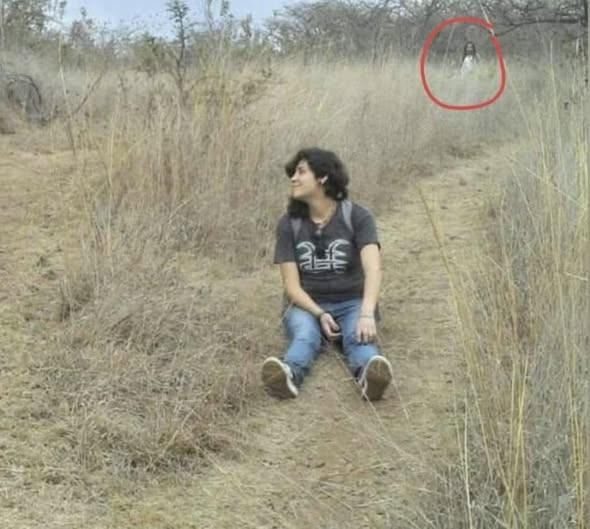 [Image: q32CNku.jpg]