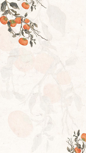 Image 1771408596472 80.jpg