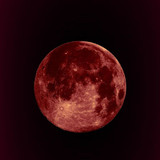 Blood Moon