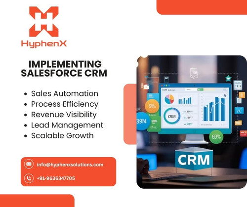 Implementing Salesforce CRM​.jpg