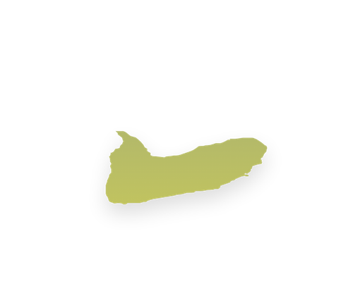 1000034087.png