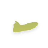 1000034087