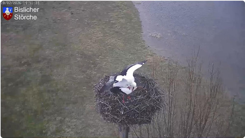 MWSnap843.jpg