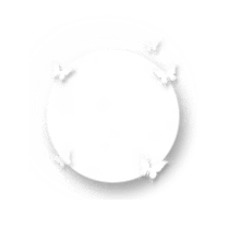 2afe2193 ce6b 4122 8e34 8f1f5bab85a6.png