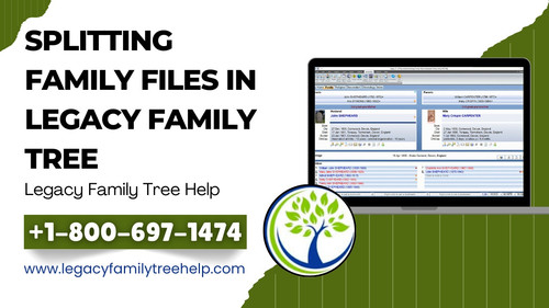 Splitting Family Files in legacy Family Tree.jpg