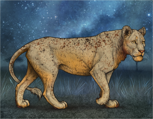 Screenshot 2026 02 20 003942.png