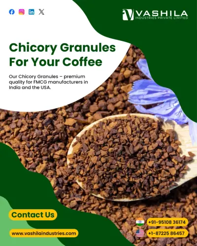 Chicory Manufacturer.webp